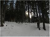 Planina Zajavornik - Vrh Razora